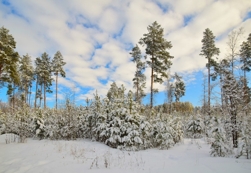Photograph by Василий Быстрицкий