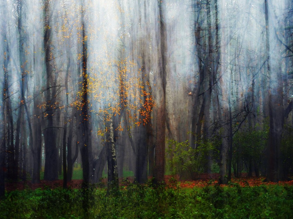 Фотография автора YEVHENII NIKITIN