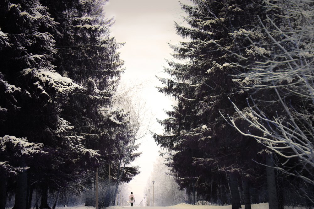 Контраст Величин.