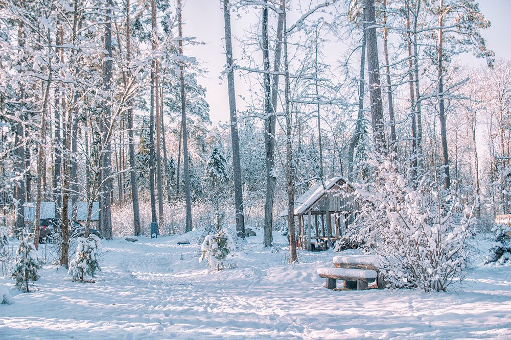 У леса на опушке жила зима в избушке...