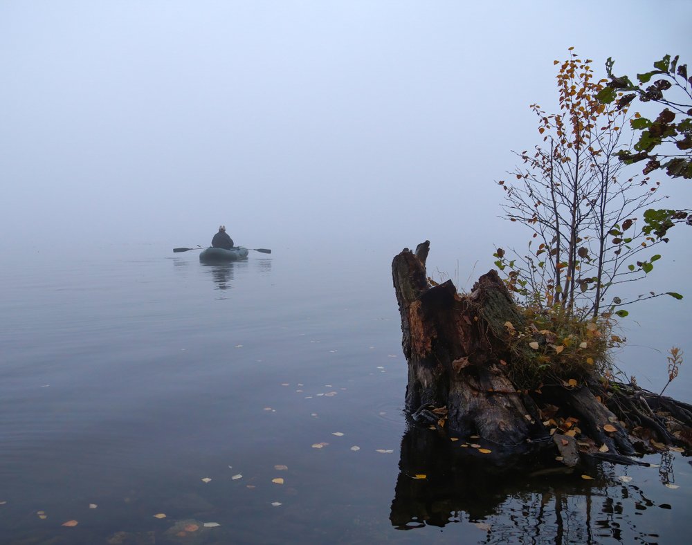 Там в дали за туманами.