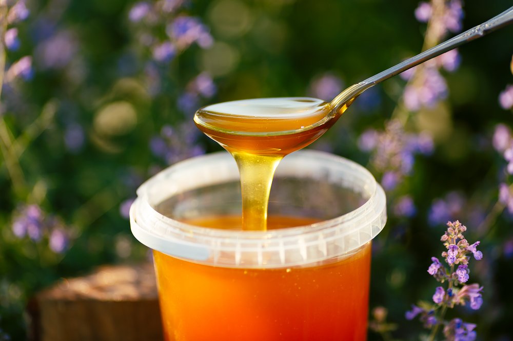 Photograph by Renate Tompsone