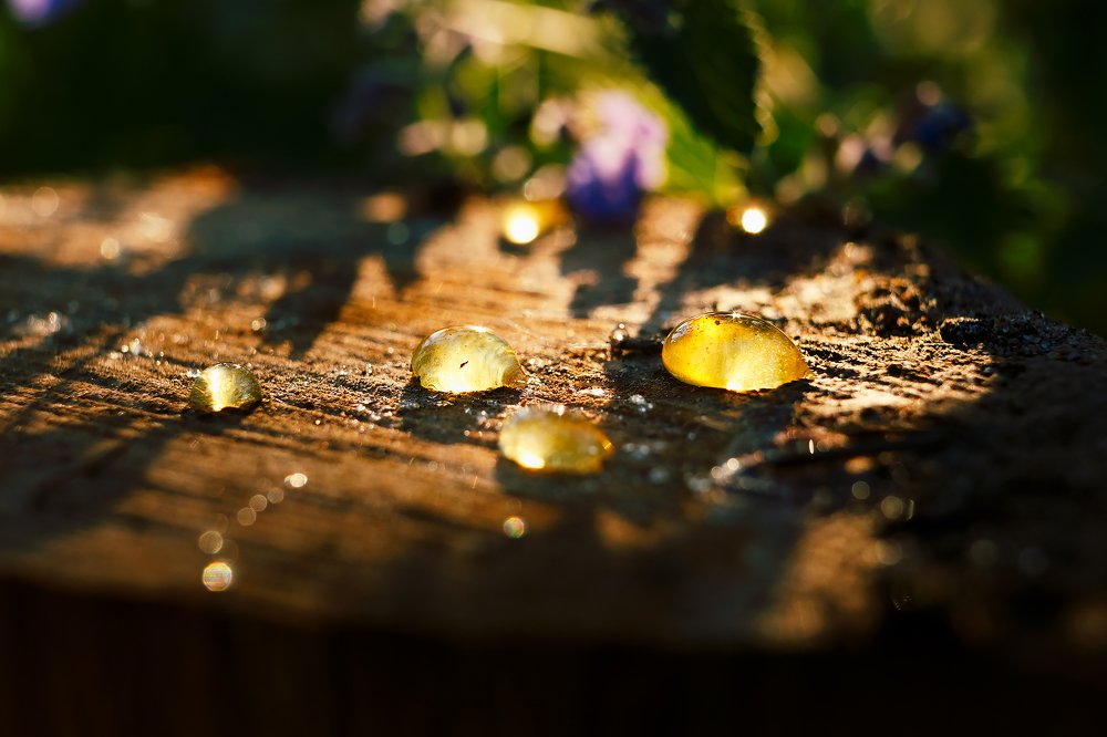 Photograph by Renate Tompsone