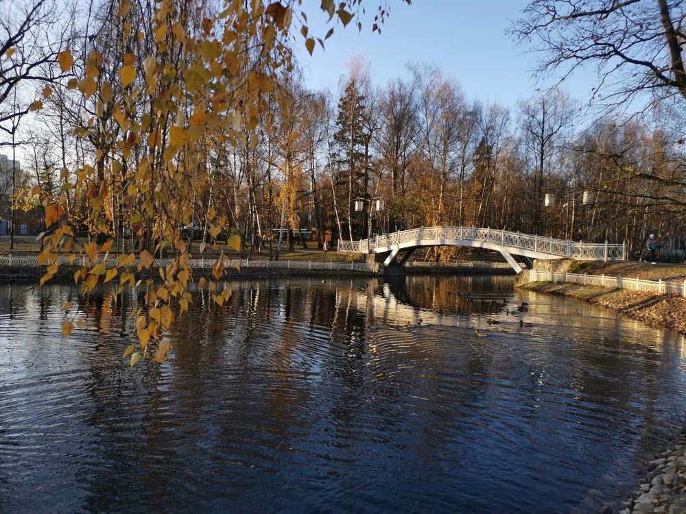 Photograph by Мария Громова