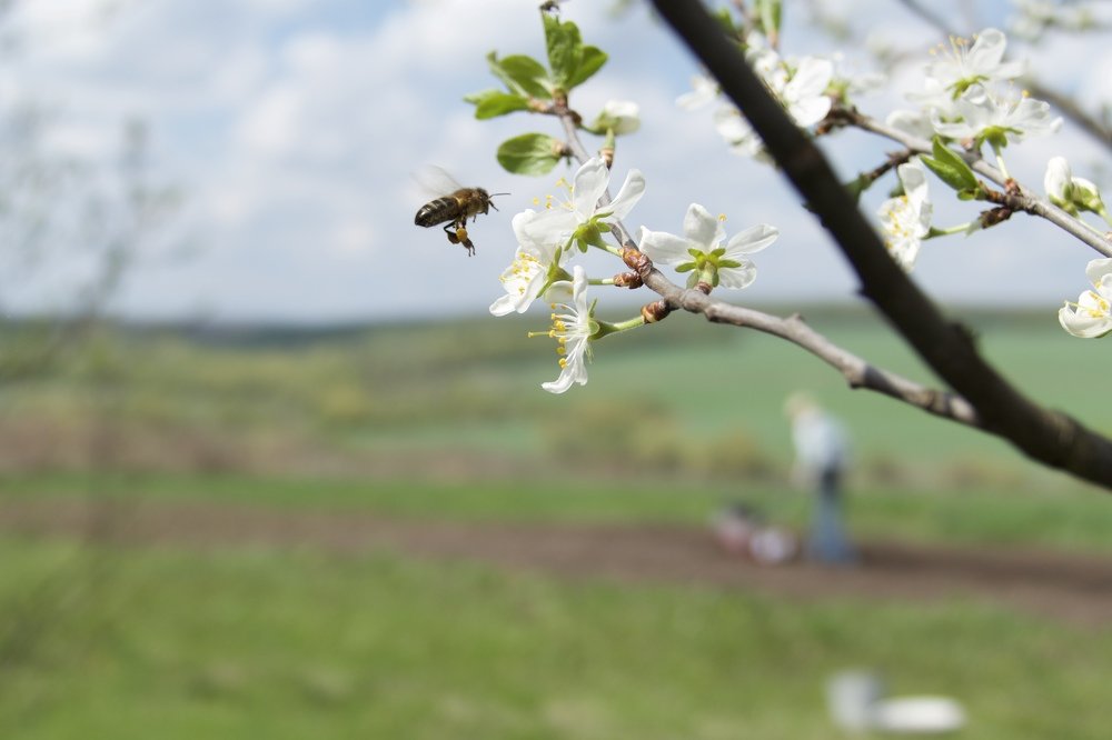 Photograph by Anastasia Perez