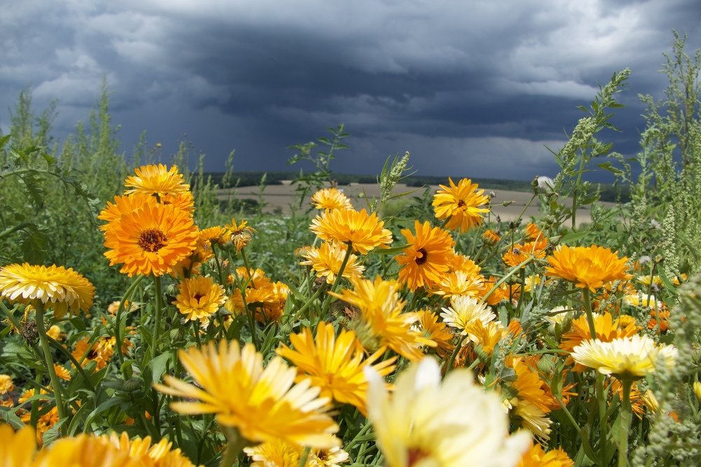 Photograph by Anastasia Perez