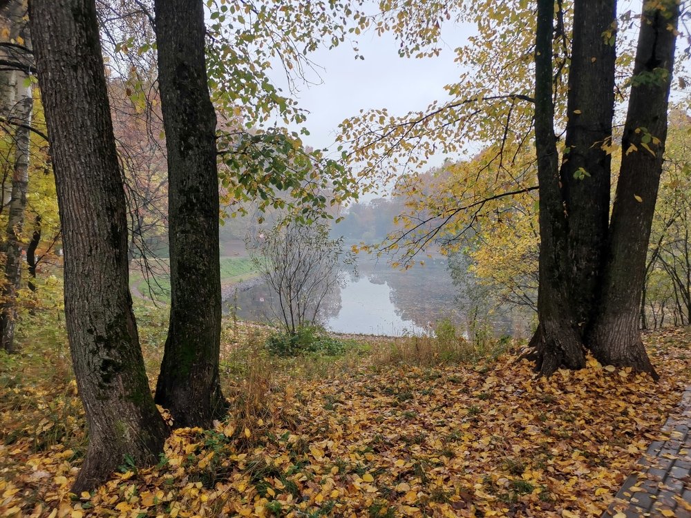 Photograph by Мария Громова