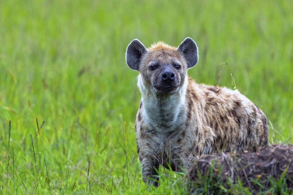 Photograph by Renny Poulose