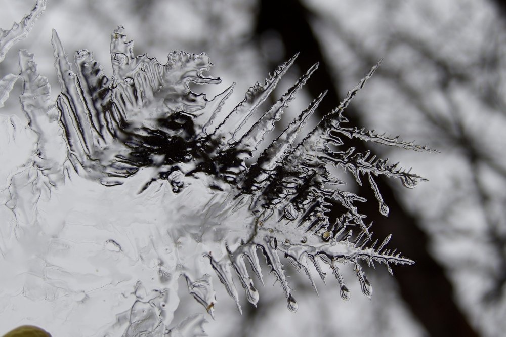 Графика зимы.