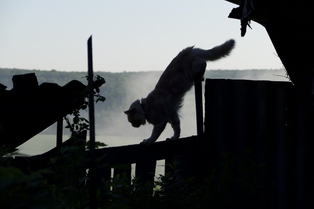 Photograph by Anastasia Perez