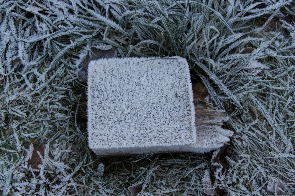 Photograph by Anastasia Perez