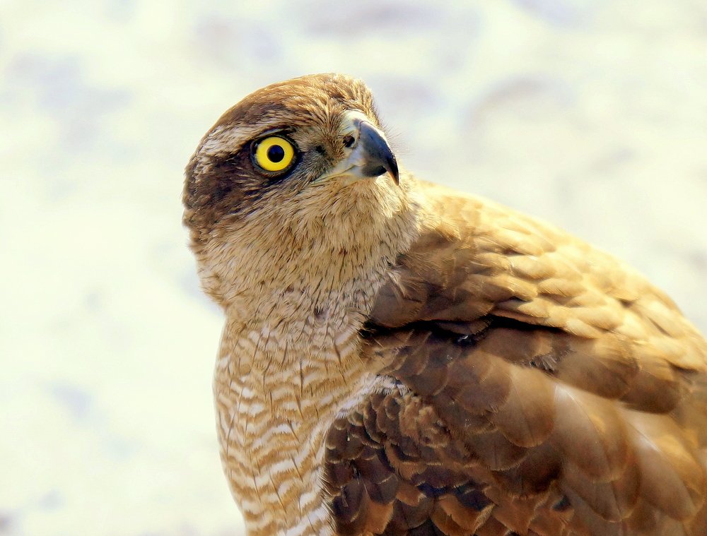 Photograph by Виктор Игнатенко.