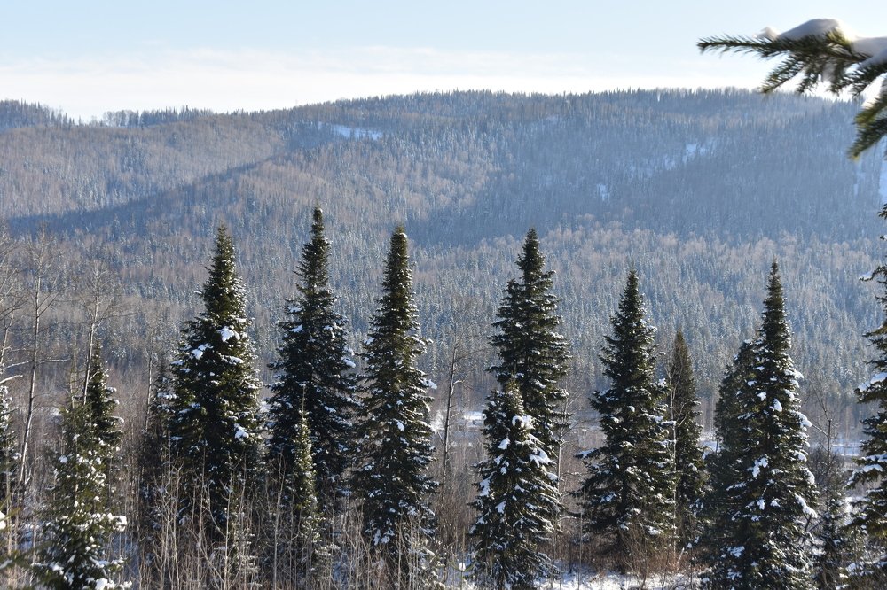 Photograph by Александр Прядко