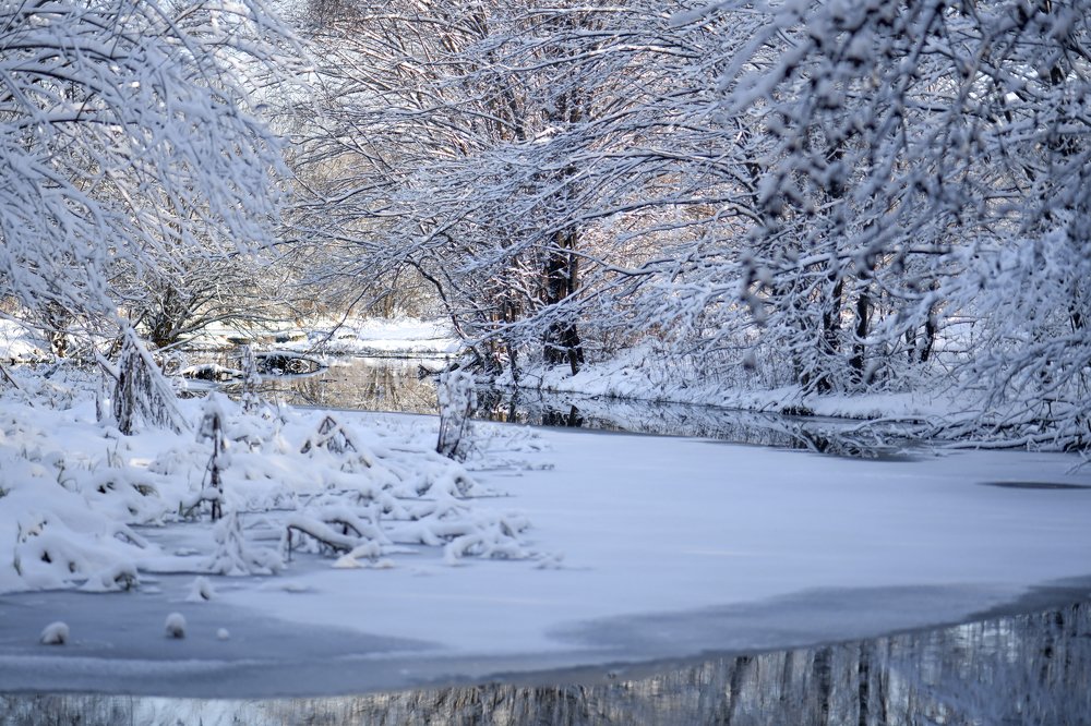 Photograph by Елена Осколкова