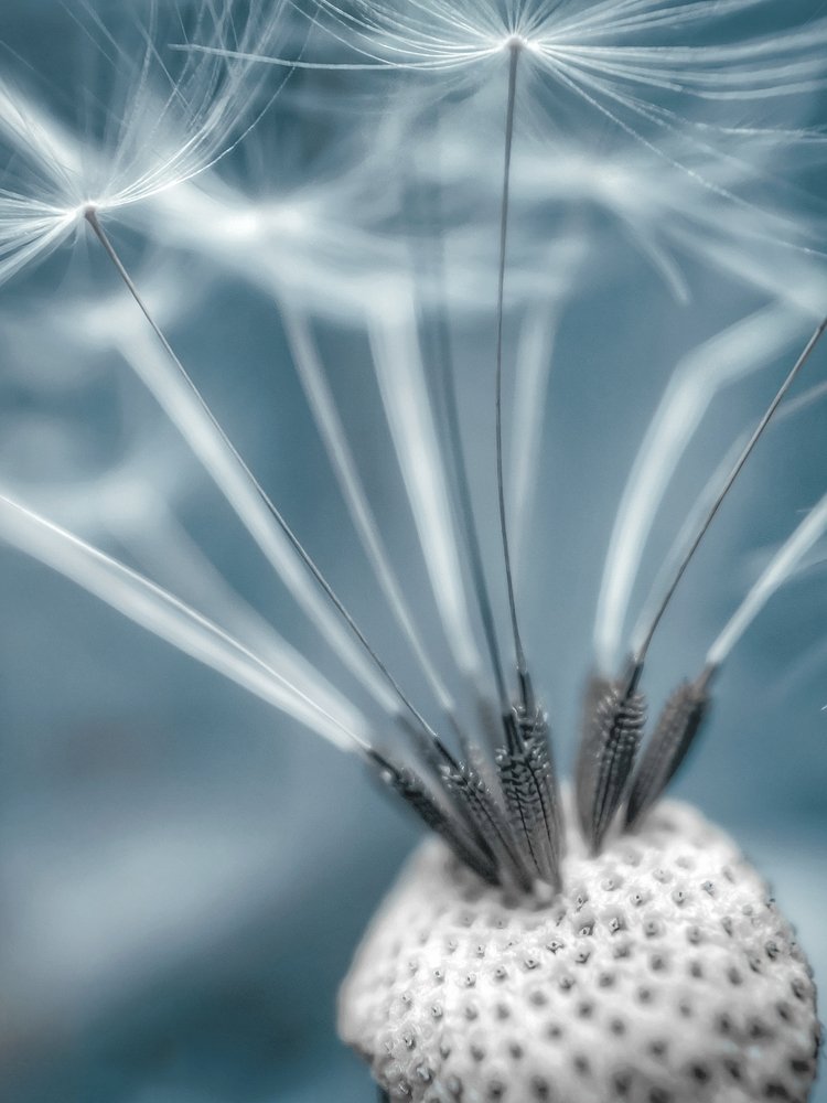 Photograph by Алексей