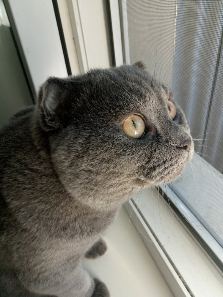 Photo #5369265