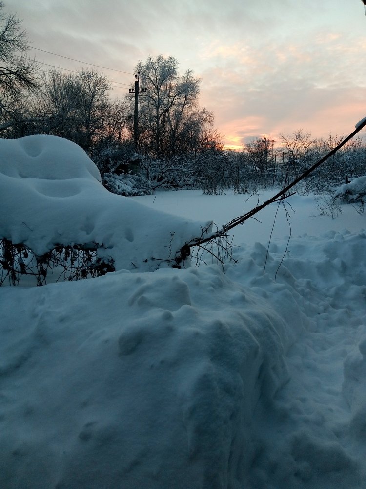 Photo #5369274
