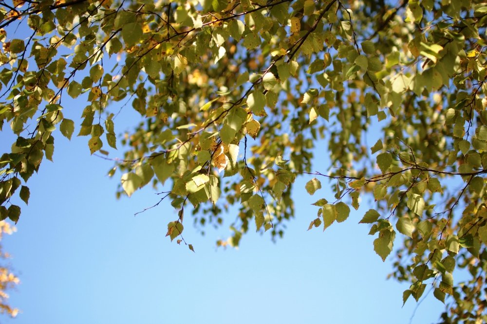 Photograph by Галина Сергеева