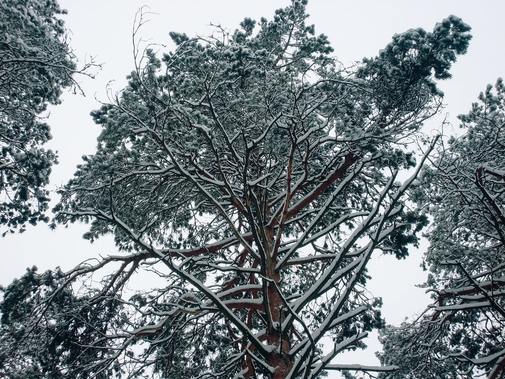 Photograph by Елизавета Большакова