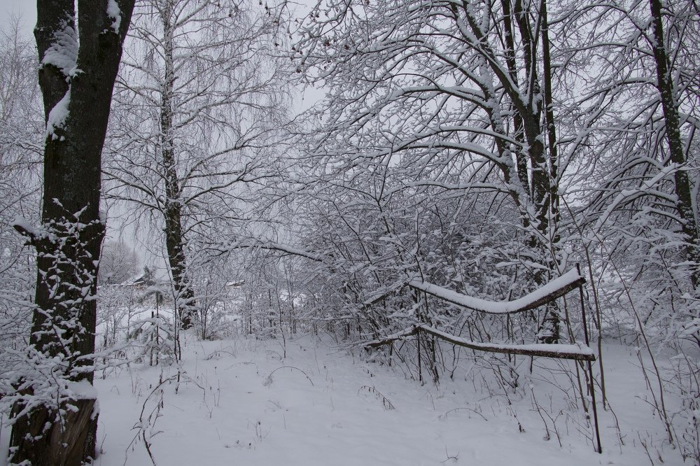 Photograph by Anastasia Perez