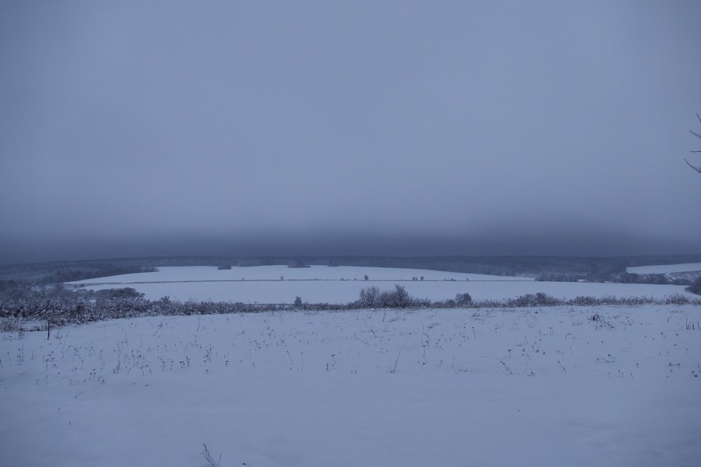 Photograph by Anastasia Perez