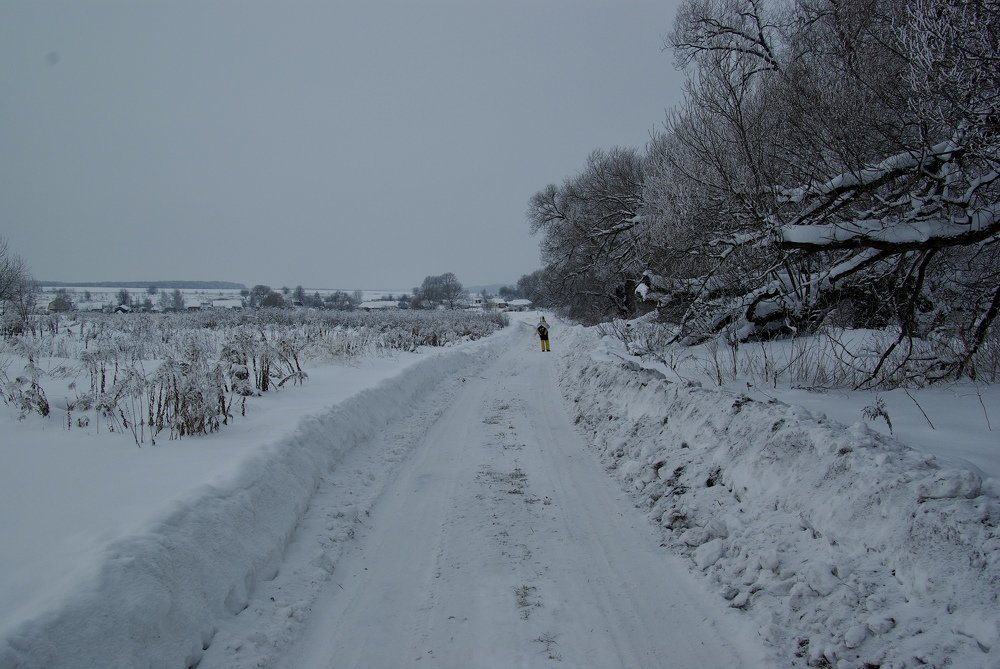 Photograph by Anastasia Perez