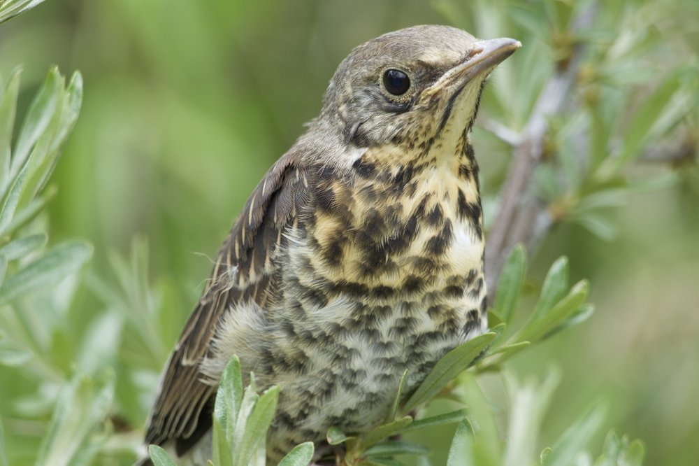 Photograph by Anastasia Perez