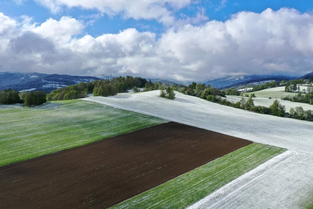 A field of three colors