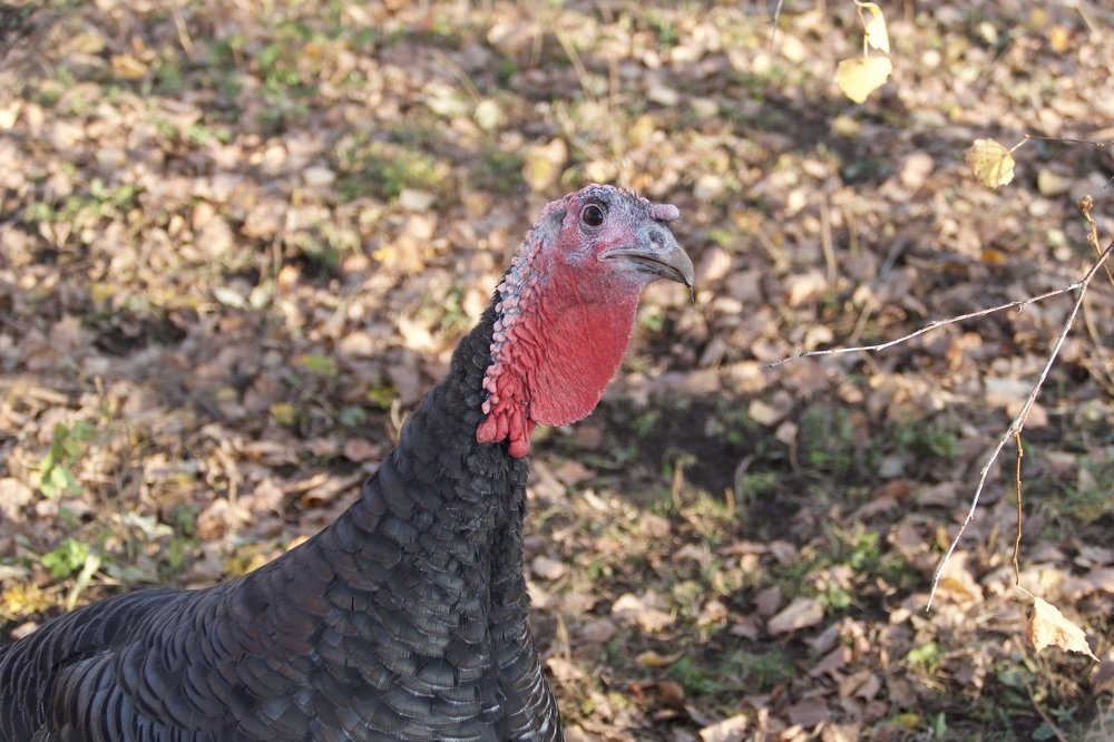 Photograph by Anastasia Perez