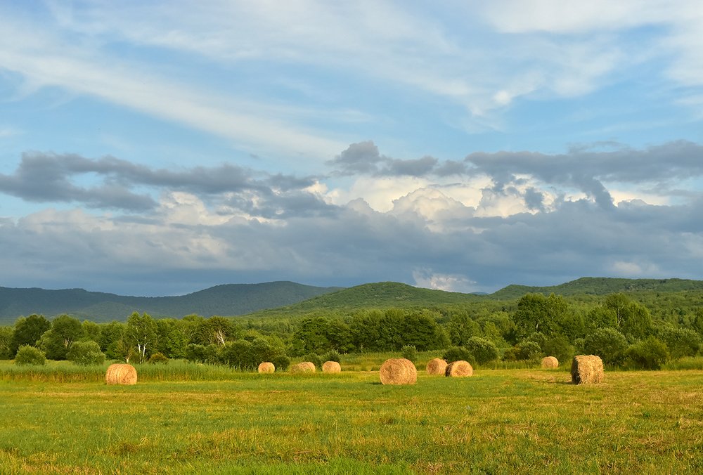 Photograph by Елена Осколкова