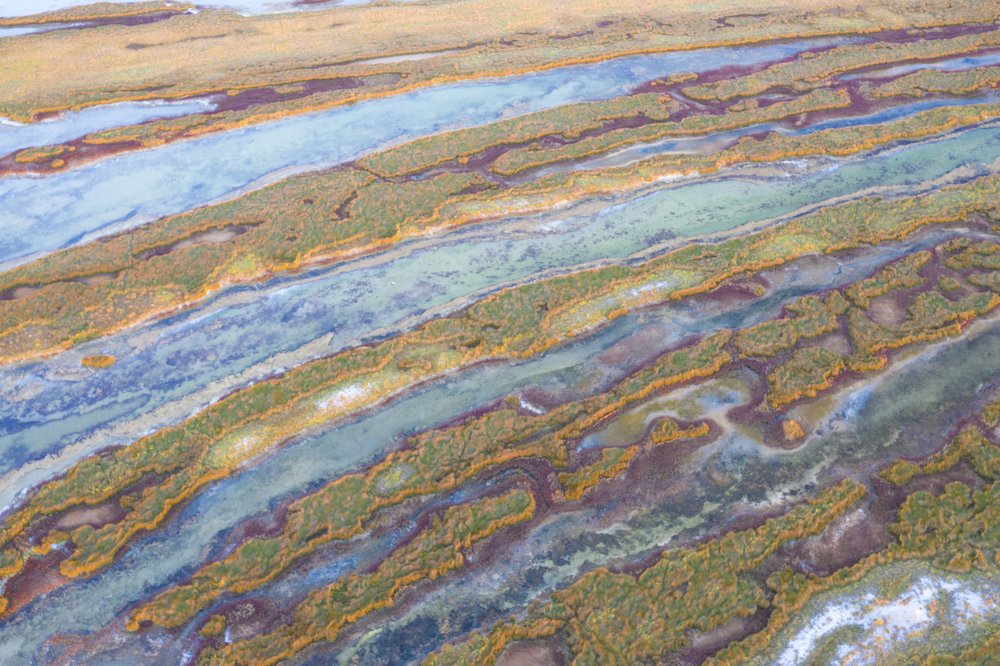 Photograph by Tatiana Kravchuk