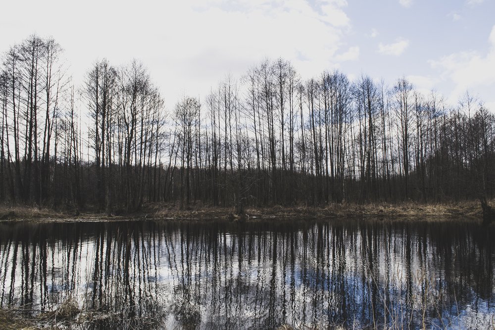 Photograph by Елизавета Большакова