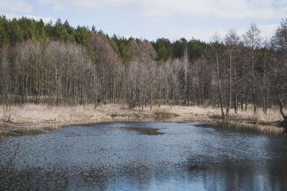 Photograph by Елизавета Большакова