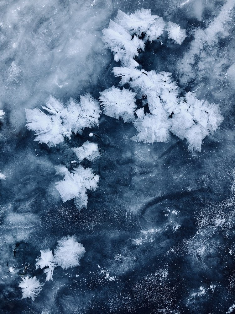 Ледяная живопись