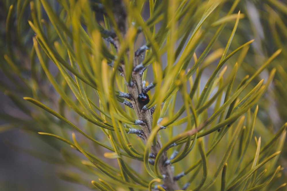 Photograph by Елизавета Большакова