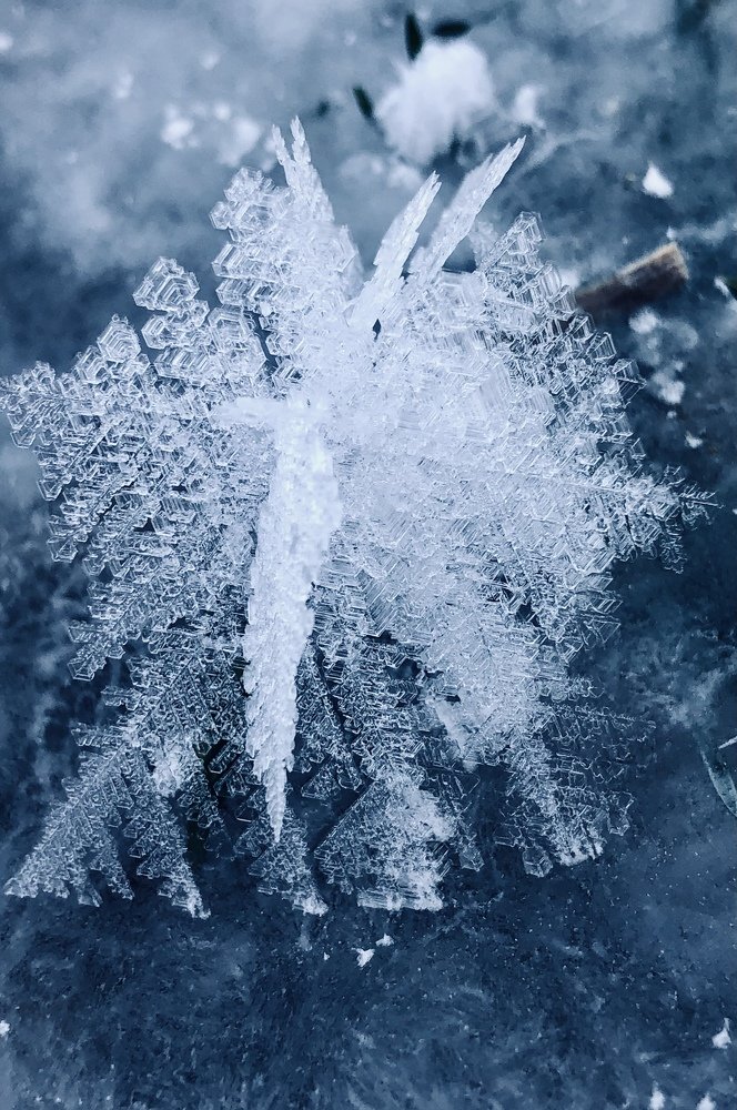 Photograph by Елена Киркицкая