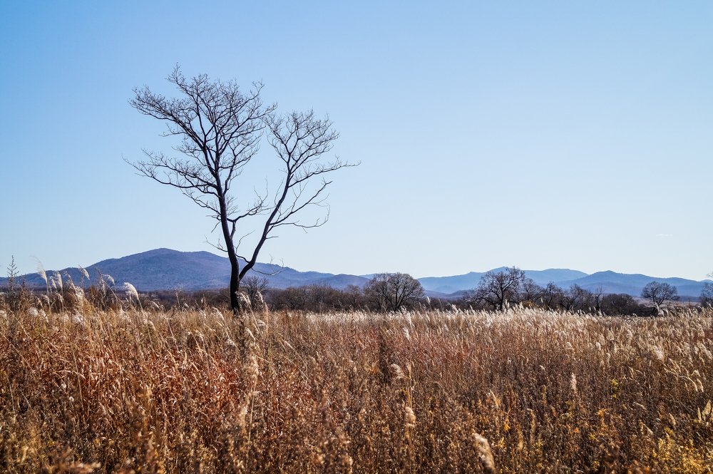 Photograph by Виктор Сёмушкин