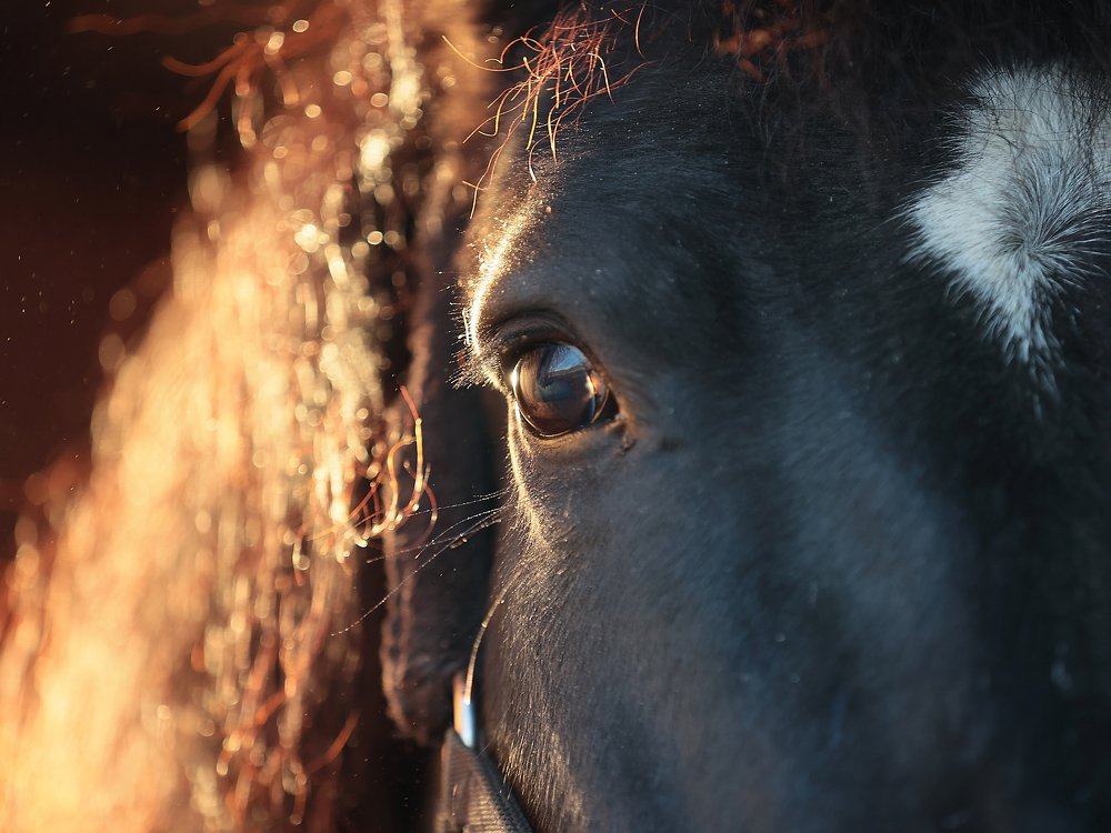 Photograph by Яна Орлова