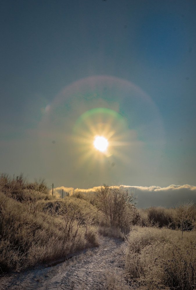 Photograph by Елена Гольдебаева