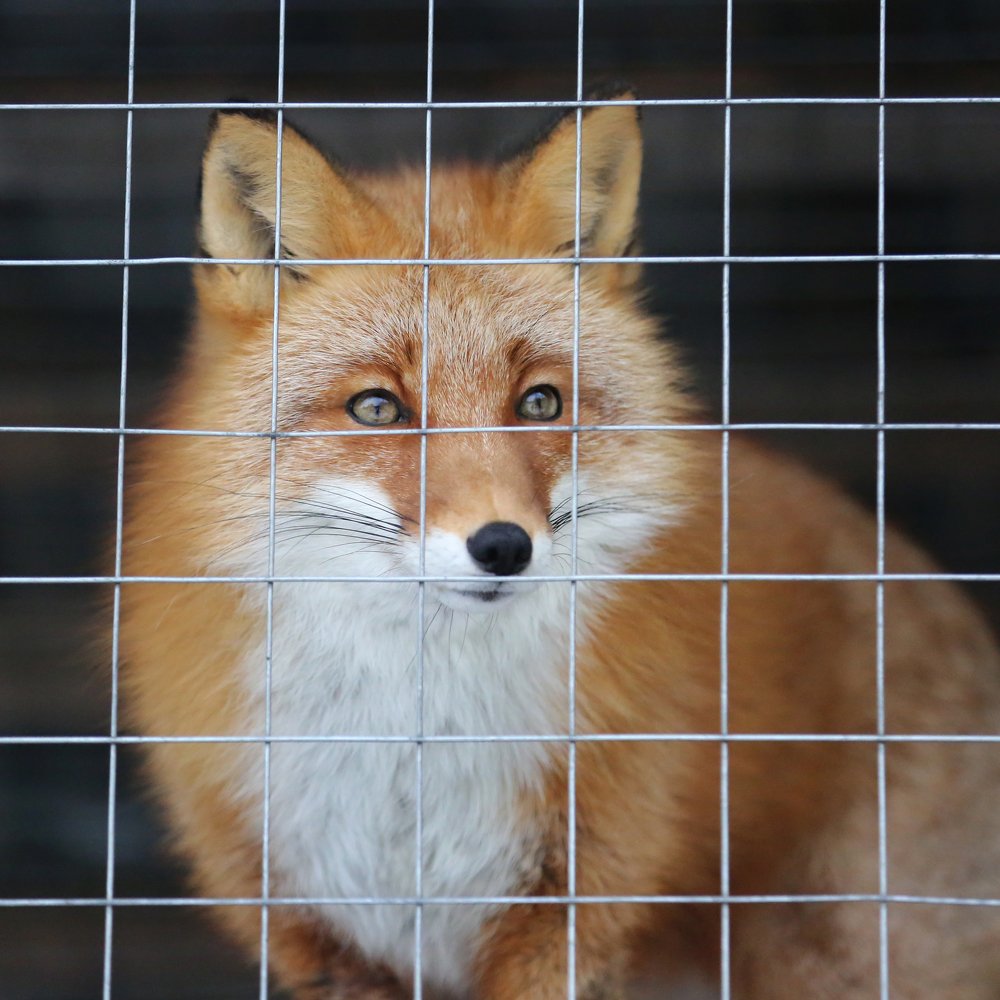 Photograph by Яна Орлова