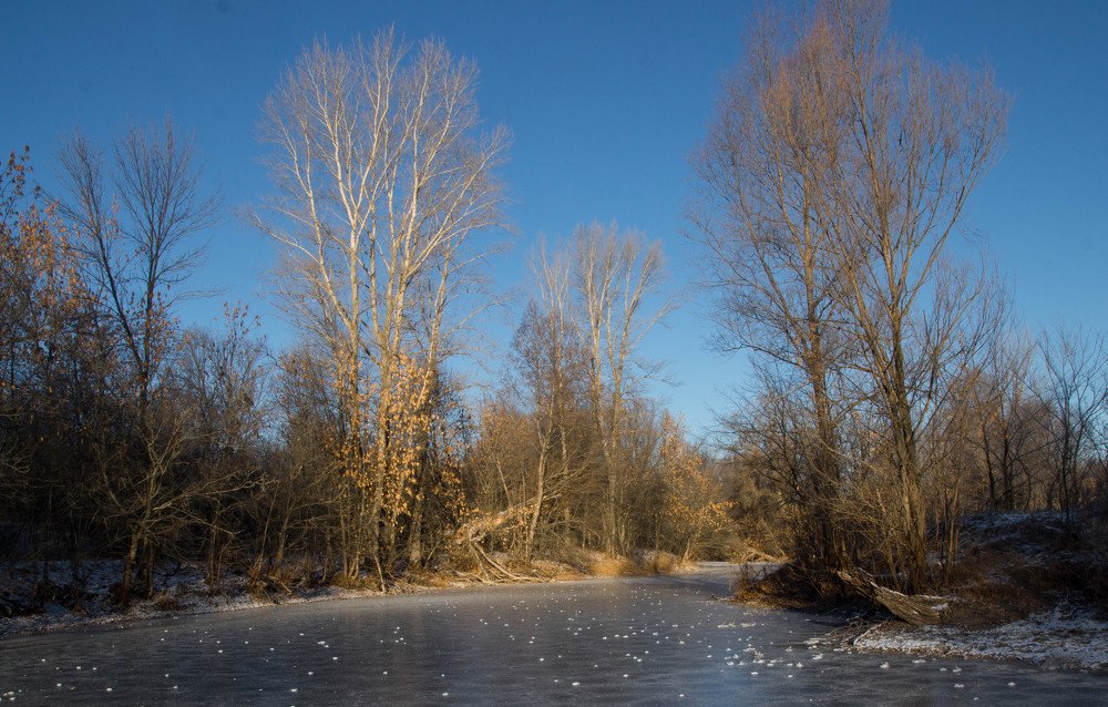 Photograph by Елена Гольдебаева