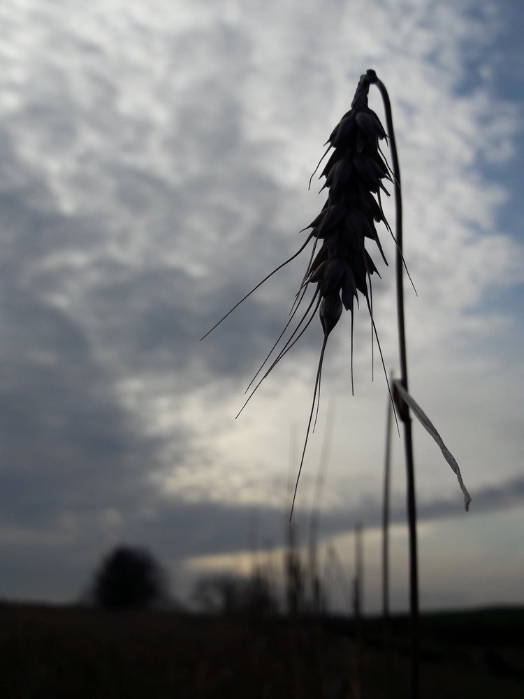 Photograph by Виктория Подрезова