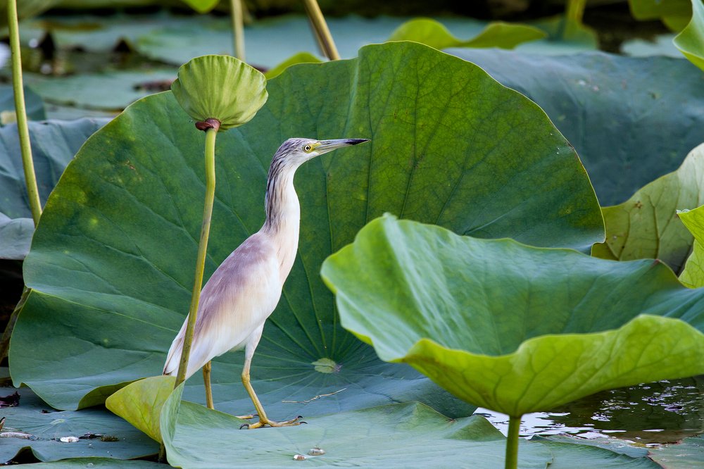 Photograph by Артур