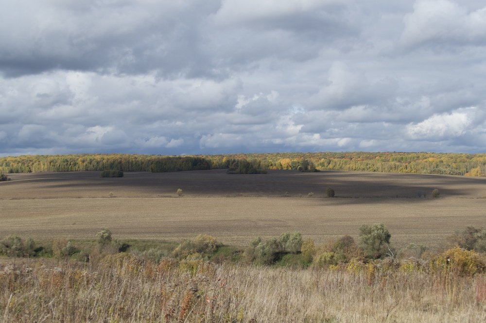 Photograph by Anastasia Perez