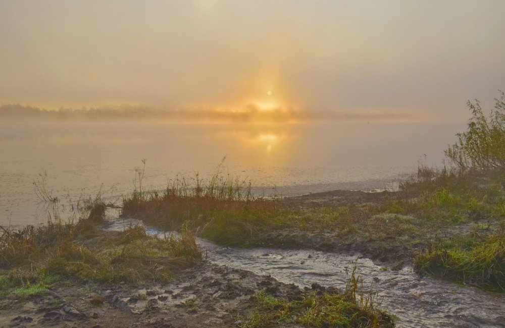 Туманный восход