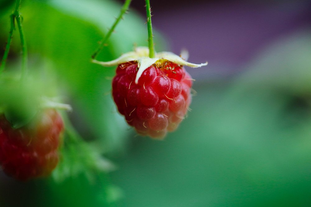 Photograph by Мария Кривошеенкова