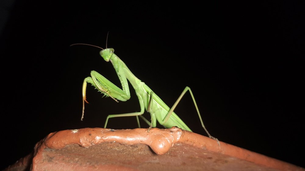 Photograph by Umar Kambiev