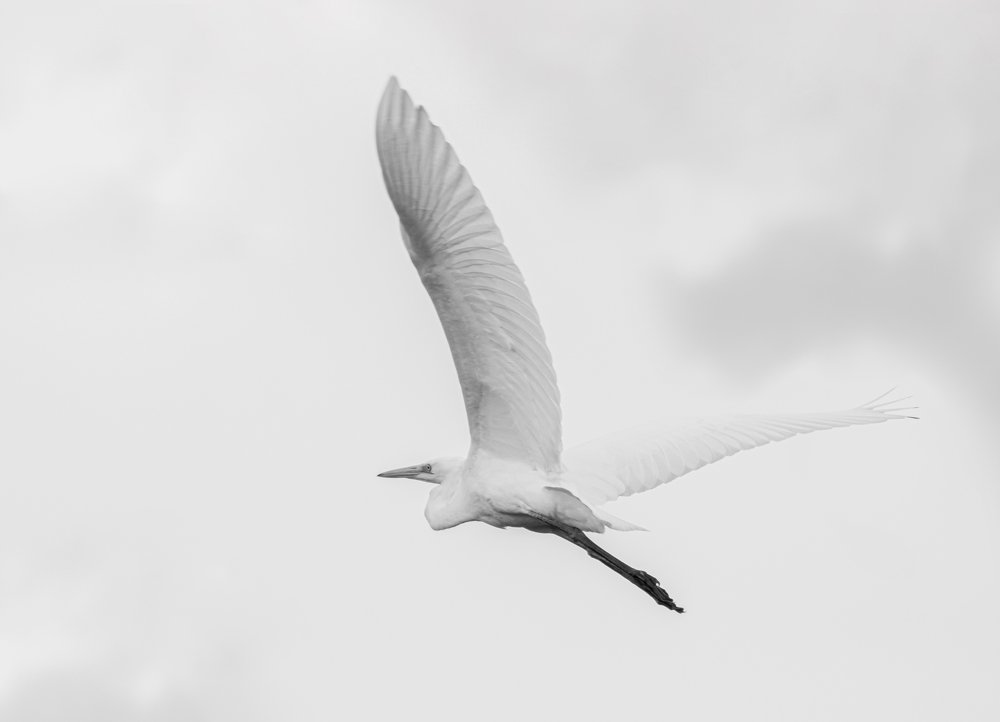 Photograph by Anna Kuzkina