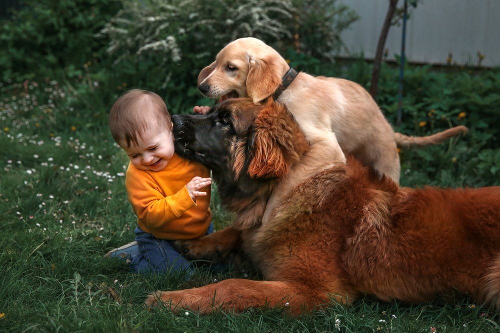 Photograph by Олеся Гаранина