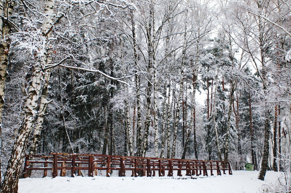 Photograph by Константин Лагоденко